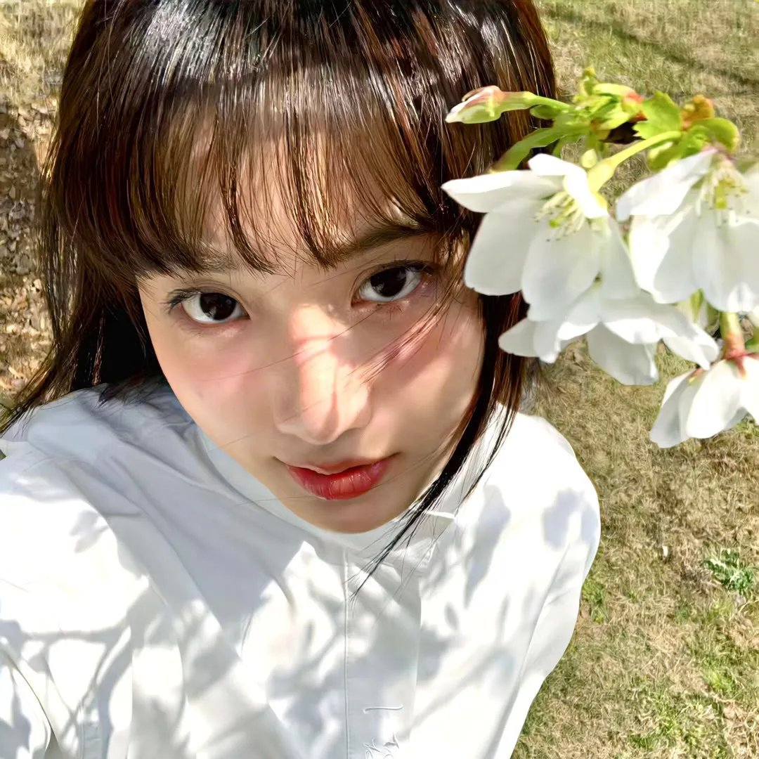 美少年侦探团